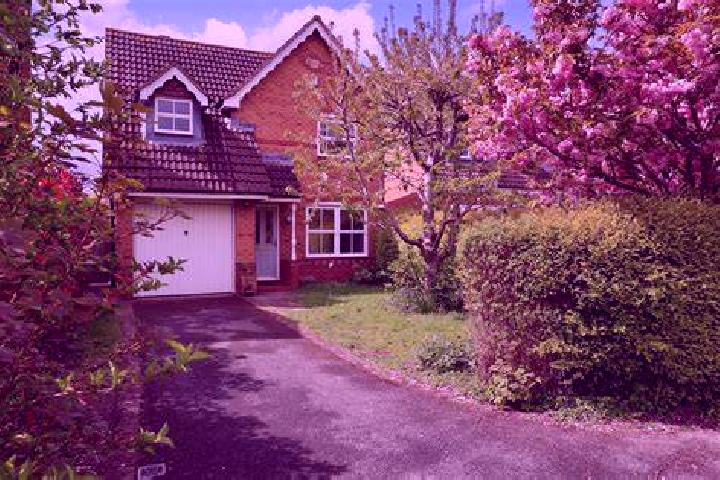 Ivy, 22 — Escort in Pottsville, United States