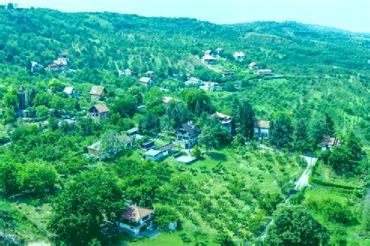 Ivy, 35 — Escort in Tintinara, Australia