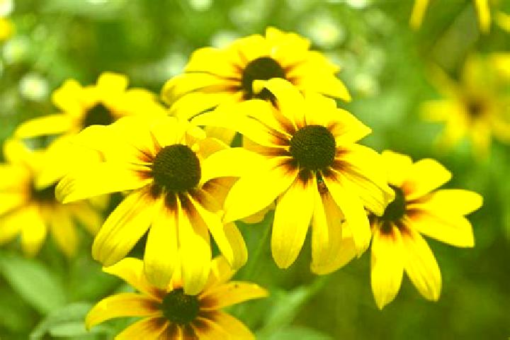 Jade, 30, a blonde grey-eyed european companion based in Marostica. Offering OWO, Prostate Massage, Dinner Date, Massage. Available for incall and outcall, d...