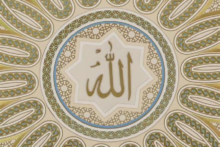 Jade, 37 — Escort in Rugeley, United Kingdom