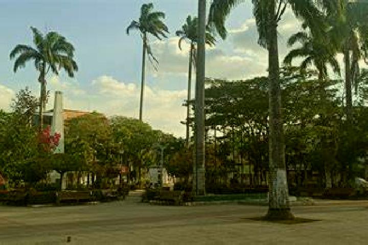 Kinsley, 24 — Escort in Hachioji, Japan