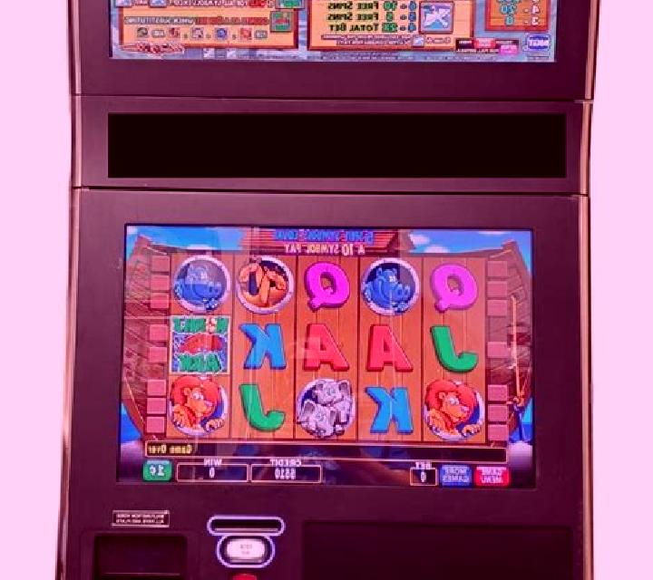 Layla, 23, a platinum blonde hazel-eyed latina companion based in Zubieta. Offering BDSM, Couples, Duos, CIM. Available for incall and outcall, day and eveni...