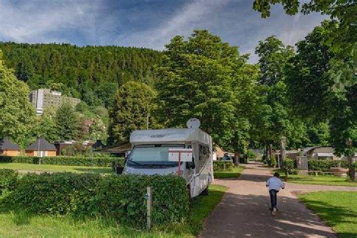 Layla, 35 — Escort in Pickens, United States