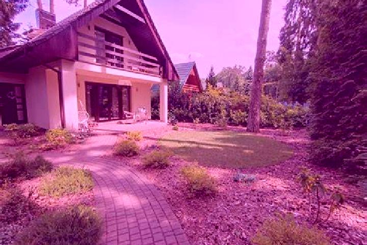 Layla, 37 — Escort in Krajan Suko Kidul, Indonesia
