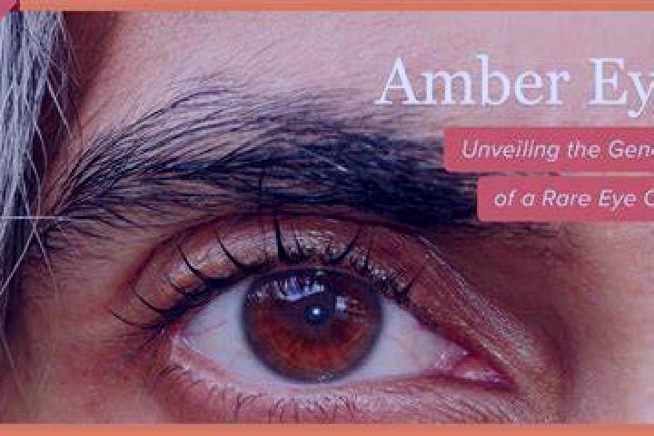 Lillian, 25, a auburn green-eyed indian companion based in Celtik. Offering Party Girl, Duos, Roleplay, A-Level, GFE. Available for incall and outcall, overn...