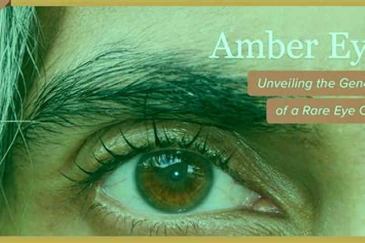 Lillian, 32, a blonde grey-eyed latina companion based in Kulu. Offering Prostate Massage, Roleplay, Dinner Date. Available for incall and outcall, overnight...