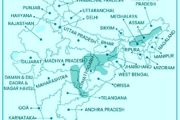Lily, 38 — Escort in Palisade, United States