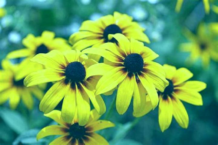 Lucy, 20, a dark blonde green-eyed middle eastern companion based in Fosseuse. Offering Fetish, BDSM, Tantra. Available for incall and outcall, overnight boo...
