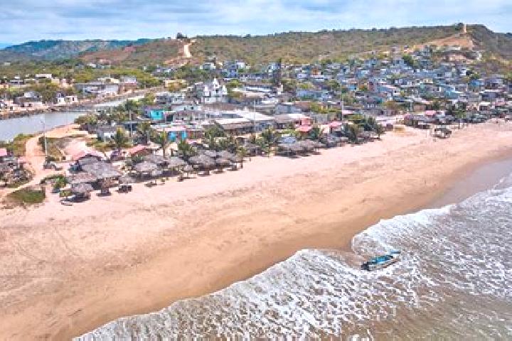 Luna, 34 — Escort in Palm Harbor, United States