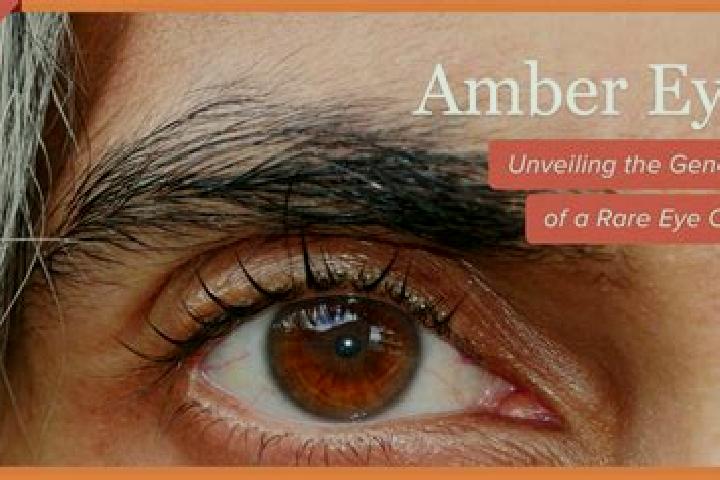 Madison, 30, a blonde grey-eyed indian companion based in Naduvattam. Offering Fetish, Prostate Massage, A-Level, Couples. Available for incall and outcall, ...