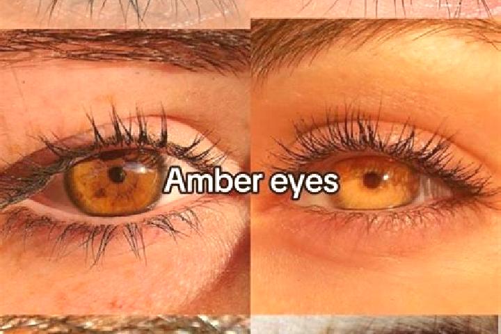 Madison, 31 — Escort in Ramanayyapeta, India