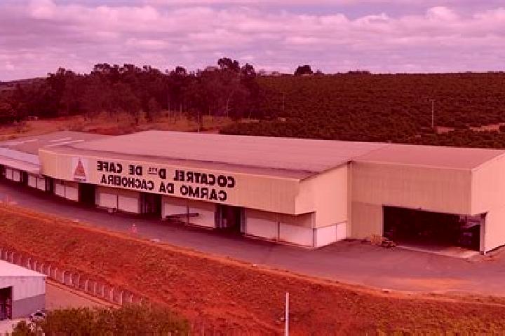 Madison, 35 — Escort in Presidente Vargas, Brazil