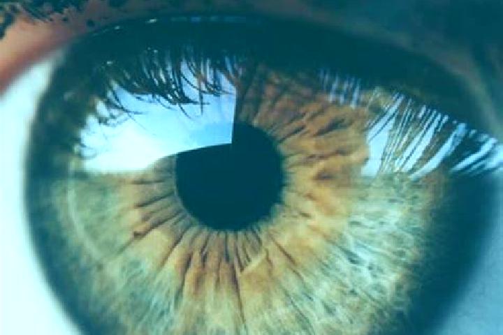 Maya, 24, a blonde blue-eyed middle eastern companion based in Alexandra. Offering CIM, Domination, Party Girl. Available for incall and outcall, overnight b...