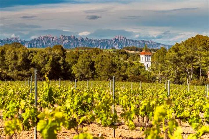 Maya, 28 — Escort in Fishing Point, Australia