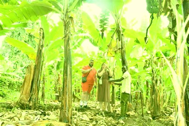 Mia, 24 — Escort in Yinhao, China