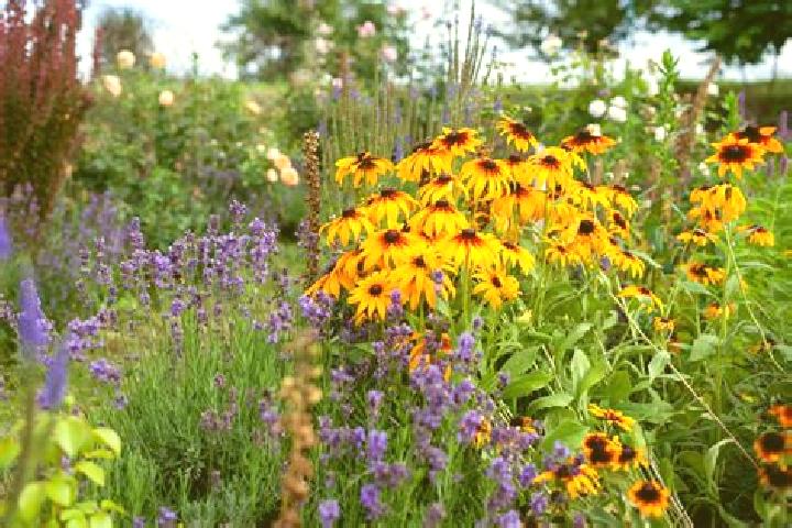 Naomi, 23, a black hazel-eyed ebony companion based in Ratne. Offering BDSM, Prostate Massage, Duos, CIM, Tantra. Available for incall and outcall, overnight...
