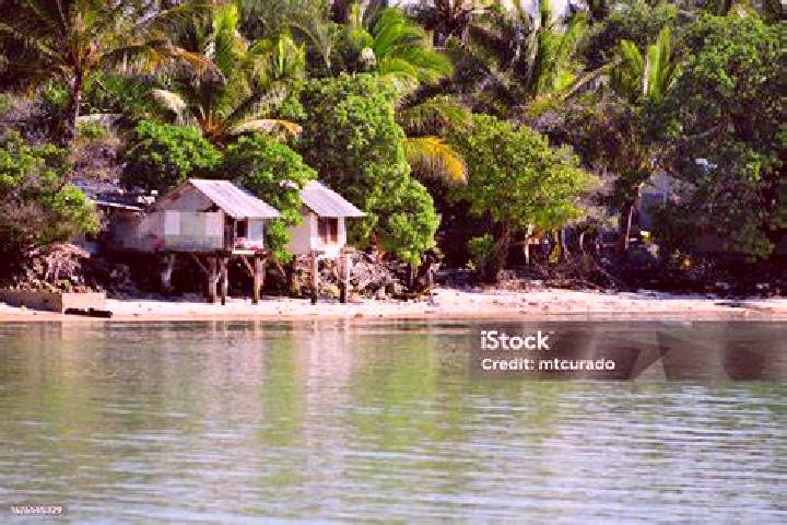 Naomi, 27 — Escort in Melcher-Dallas, United States