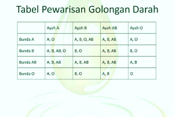 Naomi, 28, a red green-eyed caribbean companion based in Gladstone Central. Offering Fetish, Overnight, Prostate Massage. Available for incall and outcall, d...