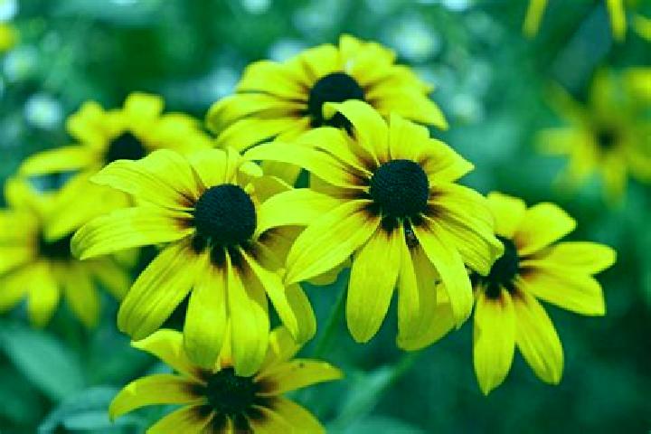 Natalie, 20 — Escort in Rudolfov, Czech Republic