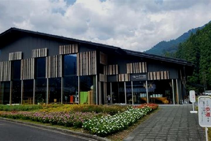 Nova, 36 — Escort in Savignano sul Panaro, Italy