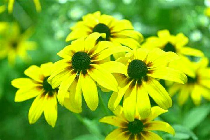 Penelope, 29, a auburn hazel-eyed middle eastern companion based in Becicherecu Mic. Offering Party Girl, Tantra, GFE, Roleplay, BDSM. Available for incall a...