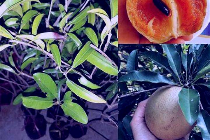 Penelope, 34, a black dark-eyed middle eastern companion based in Plagiari. Offering Erotic Massage, Dinner Date, Couples. Available for incall and outcall, ...