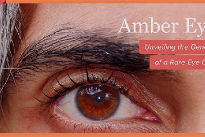 Piper, 20, a black hazel-eyed latina companion based in Gaz-e Borkhar. Offering Travel Companion, BDSM, Couples, GFE. Available for incall and outcall, overn...