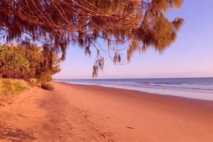 Piper, 21, a blonde dark-eyed middle eastern companion based in Kaiwaka. Offering Deep French Kissing, Prostate Massage, Striptease. Available for incall and...