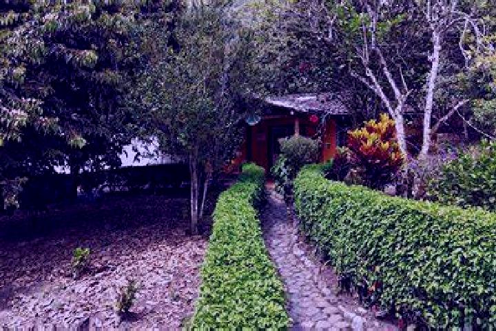 Piper, 24, a auburn dark-eyed mixed companion based in Los Valles. Offering GFE, Dinner Date, CIM. Available for incall and outcall, day and evening dates.