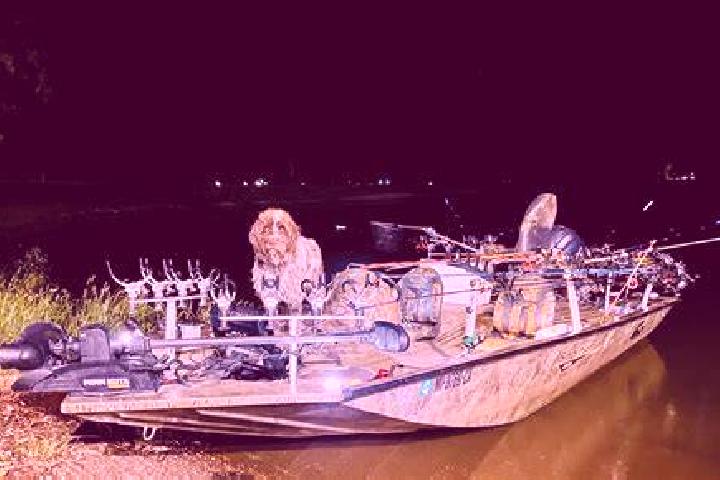 Piper, 37 — Escort in Loanhead, United Kingdom