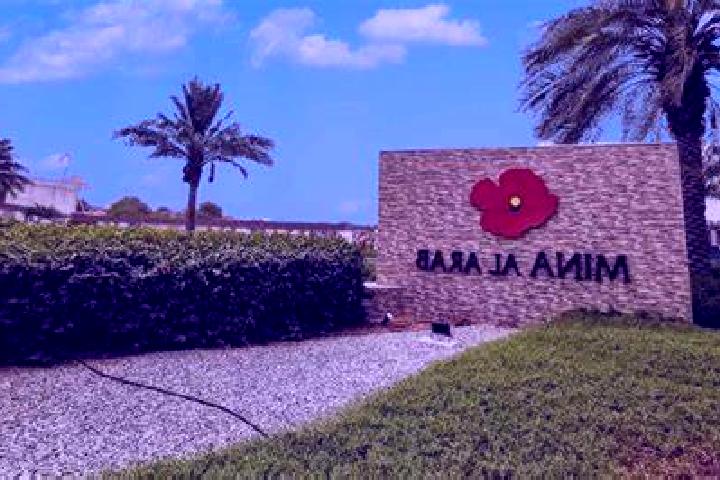 Quinn, 25, a auburn grey-eyed mixed companion based in Boho. Offering CIM, Couples, Duos, GFE, Dinner Date. Available for incall and outcall, overnight booki...