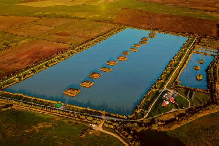 Quinn, 28 — Escort in Cardenete, Spain