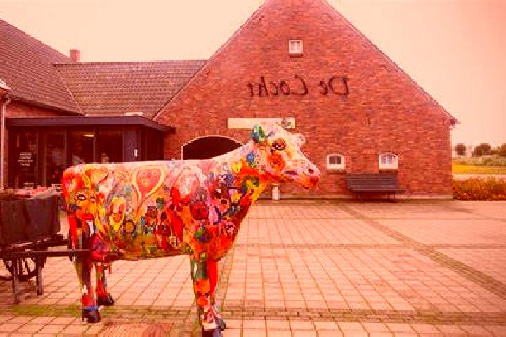 Quinn, 29 — Escort in Zollino, Italy