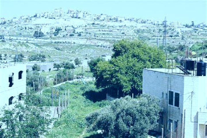 Riley, 22 — Escort in Humuya, Honduras