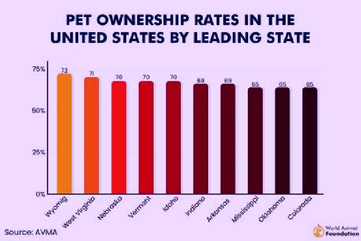 Riley, 38 — Escort in Toledo, Argentina