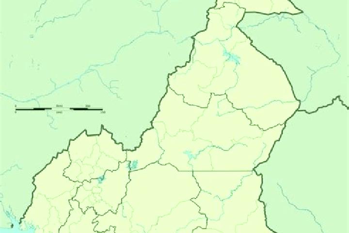 Rose, 24, a chestnut amber-eyed indian companion based in La Competencia. Offering Couples, Dinner Date, Domination, CIM. Available for incall and outcall, d...
