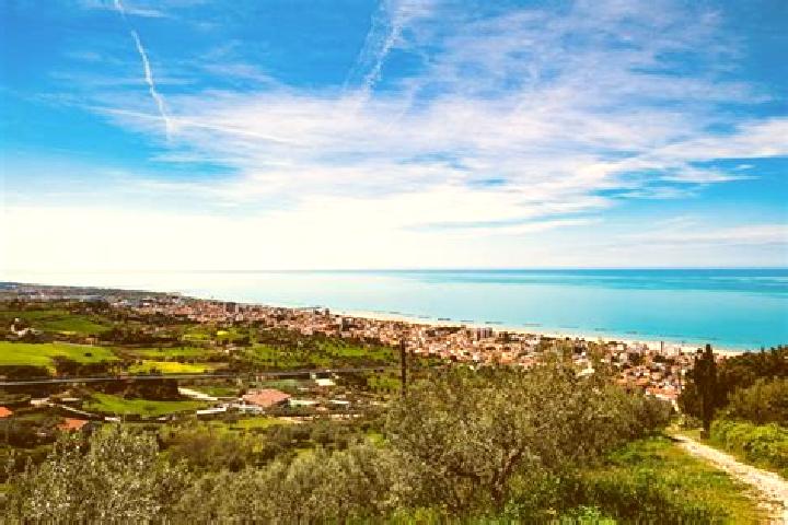 Rose, 29, a black hazel-eyed ebony companion based in Folonfokaha. Offering Duos, CIM. Available for incall and outcall, day and evening dates.