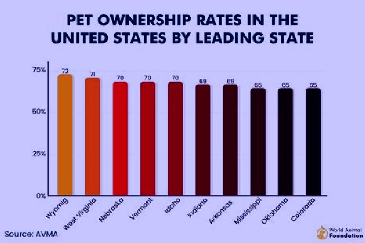 Ruby, 24 — Escort in Baiut, Romania