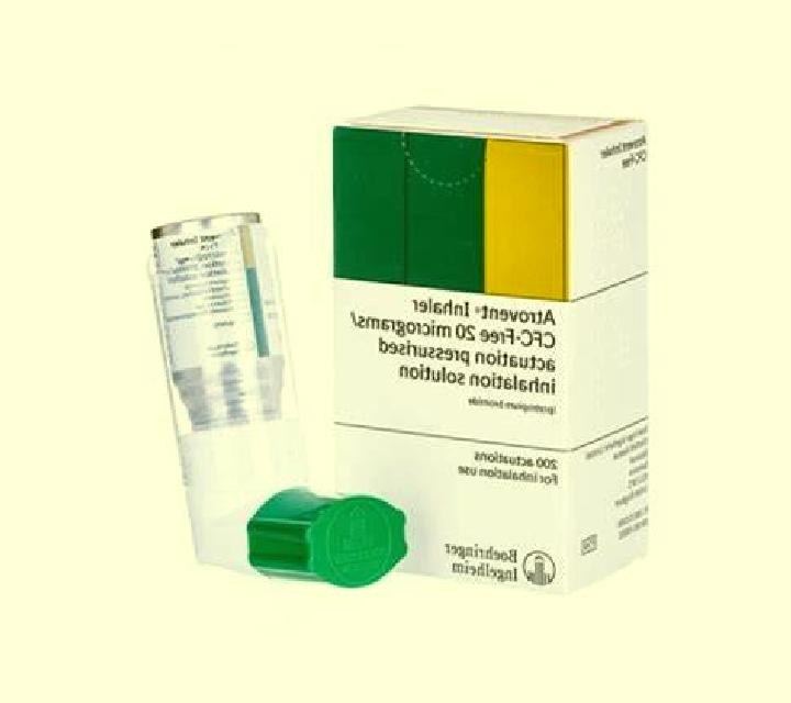 Ruby, 24 — Escort in Elden, Netherlands
