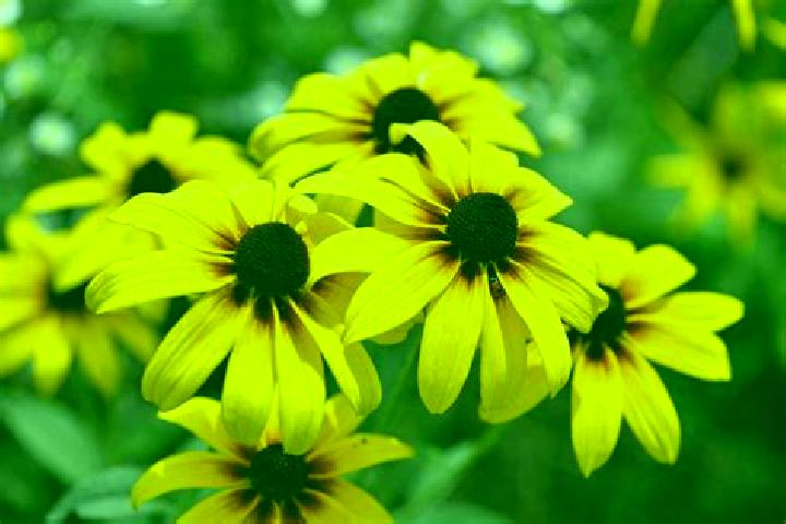 Ruby, 39, a black hazel-eyed caucasian companion based in Stonegate. Offering Roleplay, Travel Companion, Prostate Massage, Couples. Available for incall and...