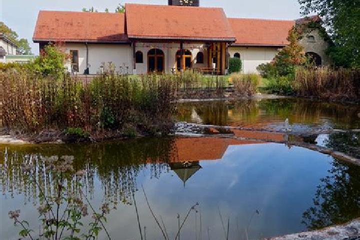 Ruby, 39 — Escort in Dalhauti, Romania