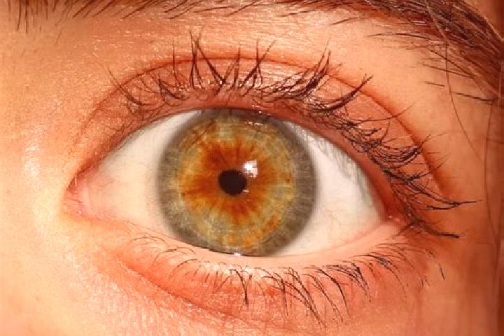 Sadie, 33, a red green-eyed mediterranean companion based in West Hamlin. Offering Prostate Massage, Deep French Kissing, Tantra, Fetish. Available for incal...