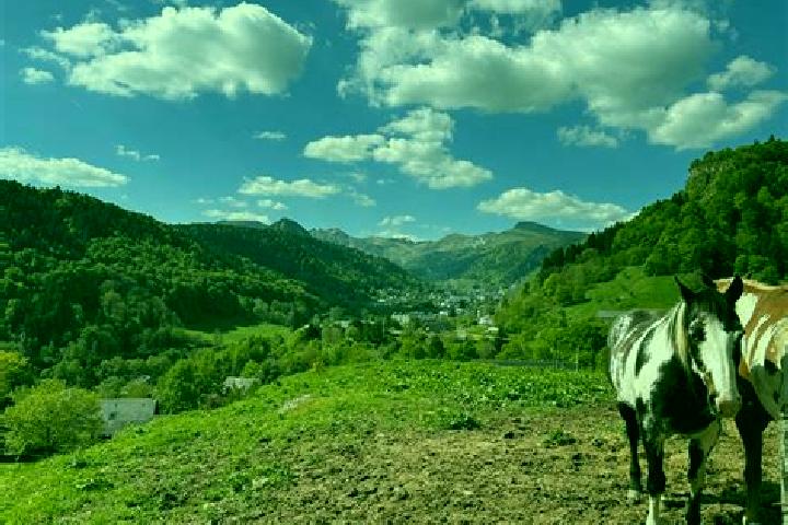 Scarlett, 23 — Escort in Calo, Italy