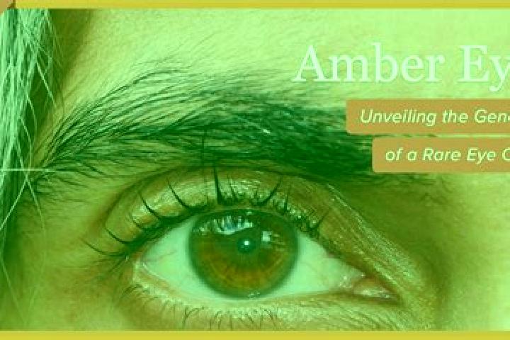 Sienna, 35, a blonde brown-eyed slavic companion based in Cassilandia. Offering Tantra, Couples, Prostate Massage, Overnight, Erotic Massage. Available for i...