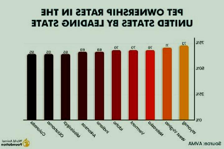 Sophia, 20 — Escort in Paso del Rosario, Mexico