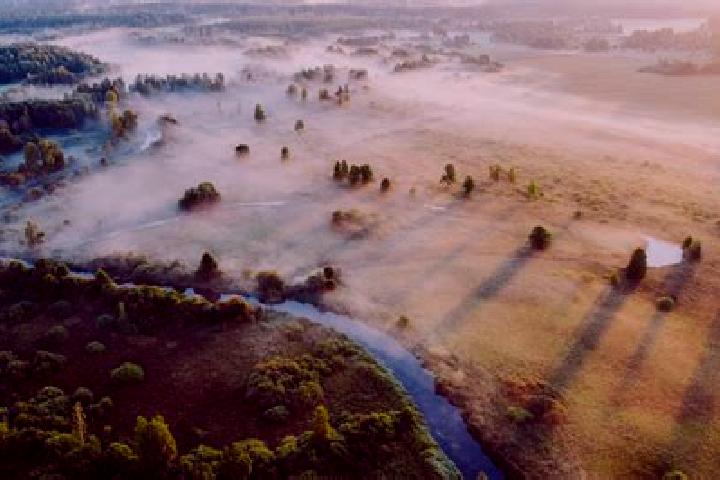 Sophia, 32 — Escort in Agarsin, China