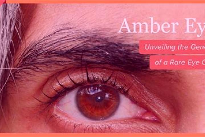 Stella, 30, a black grey-eyed asian companion based in Norquinco. Offering Tantra, OWO. Available for incall and outcall, overnight bookings available.