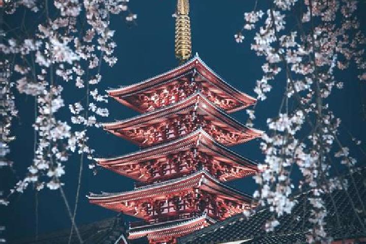 Stella, 38 — Escort in Midway City, United States