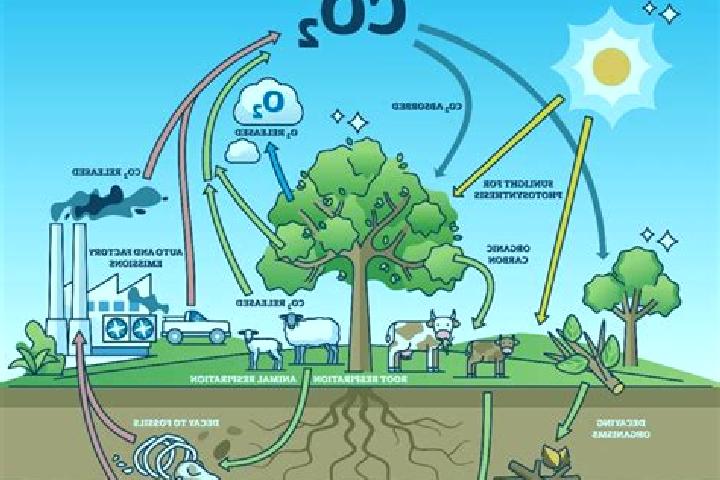 Stella, 38 — Escort in Pioner, Russia
