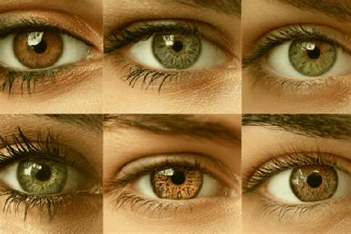 Victoria, 20, a dark blonde blue-eyed mixed companion based in Petit. Offering Deep French Kissing, Tantra, Girlfriend Experience, Erotic Massage, Massage. A...
